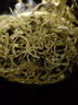 內廷上用胖東來(lái)優(yōu)選超市張家界野生莓茶芽尖莓茶湖南正宗龍須嫩芽藤茶養生 【特級頭茬莓茶芽尖】莓茶250g 京官方店?yáng)|自旗艦營(yíng) 曬單實(shí)拍圖