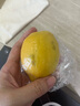 廣東香水黃檸檬包郵新鮮水果檸檬精選皮薄奶茶店專用整箱 現(xiàn)貨 黃香水檸檬6粒裝  單果70g+ 曬單實(shí)拍圖