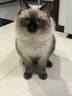3CE三熹玉 輕松塑形眉筆 #深灰棕生日禮物教師節禮物 曬單實(shí)拍圖