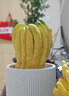 佛手柑云南香櫞果超大單果可定制佛手果香鮮果佛手瓜新鮮食用果 300g(小果1個(gè)) 曬單實(shí)拍圖