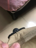 駱駝（CAMEL）戶(hù)外兒童月亮椅凳折疊便攜沙灘椅野餐釣魚(yú)椅露營(yíng)寫(xiě)生椅子 卡其色 曬單實(shí)拍圖