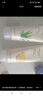 菲詩小鋪（THE FACE SHOP）洗面奶女溫和清潔干皮草本泡沫豐富潔面膏男七夕禮物 櫻桃+蘆薈潔面 曬單實拍圖