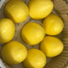 西貝莜面村 小米發(fā)糕300g 6個(gè)裝 主食 早餐面點(diǎn) 下午茶點(diǎn)心 兒童早餐 糕點(diǎn) 曬單實(shí)拍圖