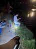 TCL頭燈強(qiáng)光超長續(xù)航50000防水小時60釣魚夜釣頭戴式照明燈w 曬單實拍圖
