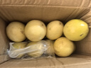 廣西欽蜜9號黃金百香果萬(wàn)澄當季新鮮大果黃皮果奶茶店水果 【1斤 約11-17個(gè)】單果30-45g 曬單實(shí)拍圖