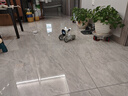 可立寶Loona機(jī)器狗 AI具身智能機(jī)器人 編程學(xué)習(xí)機(jī)器人 CES創(chuàng)新獎(jiǎng)?wù)Z言切換互動(dòng)早教玩具 兒童禮物套裝 曬單實(shí)拍圖