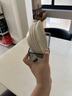 FVFH德國小吃碟塑料蘸料碟吐骨碟可愛(ài)兒童醬料碟卡通味碟餐具水果盤(pán)子 公主粉【熊貓】*6+收納盒 曬單實(shí)拍圖