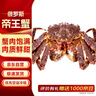 晶彩甜園 鮮活速凍帝王蟹俄羅斯大螃蟹帝皇蟹生鮮海鮮聚餐送禮 4-4.4斤源頭直發(fā)包郵 曬單實(shí)拍圖