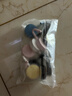 強(qiáng)力掛鉤創(chuàng)意家用廚房免打孔無(wú)痕掛鉤粘鉤北歐迷你塑料掛鉤 10個(gè)裝（顏色隨機(jī)） 曬單實(shí)拍圖