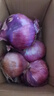新生紫皮洋蔥生吃脆甜應季新下鮮紅洋蔥蔬菜超市新款 新鮮紅洋蔥 5斤 曬單實拍圖