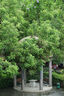 騰龍（Tamron）A071 28-200mm F/2.8-5.6 Di III RXD全畫幅大光圈微單遠攝大變焦鏡頭(索尼全幅E口) 曬單實拍圖