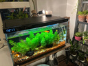 當(dāng)貝智能生態(tài)魚缸1SUltra 桌面魚缸+HIDOM增氧泵套餐 新老款隨機(jī)發(fā)貨 曬單實(shí)拍圖