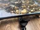爬將軍烏龜飼養缸家用生態(tài)造景別墅防逃逸水陸兩棲缸魚(yú)龜混養超白玻璃缸 40混養缸（水陸造景套餐） 曬單實(shí)拍圖