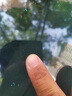 precar汽車玻璃修復(fù)前擋風(fēng)玻璃修復(fù)液風(fēng)擋劃裂痕修補(bǔ)劑液裂紋裂縫玻璃膠 德國進(jìn)口原液-抽氣式套裝 曬單實(shí)拍圖