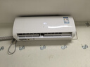 海信（Hisense）波輪洗衣機全自動 8公斤大容量波輪健康家用租房宿舍一級能效WT80N1Q以舊換新家電補貼20% 曬單實拍圖