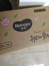 好奇（Huggies）鉑金裝小桃褲成長褲XXL74片(15kg以上)尿不濕【消暑散熱】 曬單實拍圖