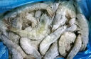鮮京采 厄瓜多爾白蝦 凈重3斤/盒 特大號20-30規格   30-45只/盒 曬單實(shí)拍圖