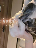 烏斯曼草官方旗艦店烏斯瑪曼洗發(fā)皂側柏葉何首烏烏斯滿(mǎn)蔓養發(fā)皂官方正品 120g*3/盒（多買(mǎi)優(yōu)惠） 曬單實(shí)拍圖