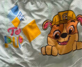 汪汪隊立大功（PAW PATROL）兒童內褲女童三角褲A類(lèi)棉寶寶小孩嬰幼兒面包褲PA1962 110 曬單實(shí)拍圖