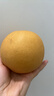 雅培【新一代】全安素特醫全營(yíng)養配方粉 900g*6麥香 中老年補充蛋白質(zhì) 曬單實(shí)拍圖