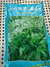 進(jìn)口牧草種子四季多年生黑麥草魚(yú)草四季可種喂養雞鴨鵝豬牛羊種籽 菊苣-再生王【2斤裝】 曬單實(shí)拍圖