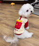 阿莫爾狗狗衣服秋冬款可牽引雪納瑞貓咪冬季比熊泰迪博美寵物小型犬冬天 紅白薯條可牽引衣 XS 曬單實(shí)拍圖