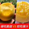 三萌果蔬山東蒙陰黃桃 當(dāng)季新鮮黃金蜜毛油桃水果現(xiàn)摘次日達(dá)桃子送禮 5斤甄選裝【顆顆甄選】凈4.5斤 曬單實(shí)拍圖
