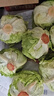 槿饈球生菜18斤裝沙拉漢堡煎餅新鮮現(xiàn)采蔬菜沙拉食材輕食球形圓西生菜 10斤裝 曬單實(shí)拍圖
