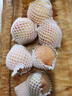 京鮮生 山西脆蜜甜桃 凈重3斤 單果150g+ 生鮮水果 源頭直發(fā) 曬單實(shí)拍圖