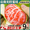 四叔公果蔬云南青皮蜜橘【多地次日達(dá)】橘子桔子中秋節(jié)禮品新鮮水果禮盒 【黃金酸甜比】甄選老樹果王｜單果60-70mm 5斤裝【超值推薦-80%選】凈4.5斤 曬單實(shí)拍圖