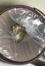新貝奧老鼠藥三步一聞毒家用倒室內就滅死超強力特一窩高端特效藥 強效鼠藥【120g】1瓶 曬單實(shí)拍圖