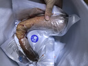 永成鮮梅花鹿茸 整枝可切片 2025新割頭茬含血二杠可泡酒煲湯燉菜 【優(yōu)質(zhì)鮮鹿茸579克一支】 曬單實(shí)拍圖