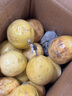果益壽廣西欽蜜9號(hào)黃金百香果 新鮮水果白香果醬原漿整箱 30個(gè)裝 【單果30g以下】嘗鮮裝 曬單實(shí)拍圖