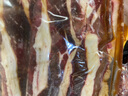 燒汁肥牛 1kg 1kg 曬單實(shí)拍圖