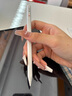 蘋果Apple Pencil 一代/二代 蘋果手寫筆二手蘋果手寫筆/電容筆/觸控筆二手平板電腦配件 蘋果Pencil 二代手寫筆+備用筆尖【99新】 曬單實(shí)拍圖