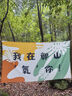 卡通蝴蝶結(jié)新款日系極簡帆布包單肩上課通勤耐磨手提包 蝴蝶結(jié)kt貓27*24cm 曬單實拍圖