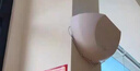 飛利浦商用滅蠅燈粘捕式餐廳飯店滅蠅藍光2025新款捕蠅蚊滅蚊器蚊子神器 飛利浦雙管/白色16W/70-120㎡ 無(wú)規格 曬單實(shí)拍圖
