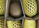 佳沛（zespri）綠奇異果 優(yōu)選大果12粒單果約113-135g  水果禮盒 獼猴桃 曬單實(shí)拍圖