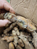 產(chǎn)地直發(fā)貴州鎮(zhèn)寧新鮮現(xiàn)挖小黃姜生姜黃姜調(diào)味料新鮮蔬菜生鮮 五斤裝 2500g 凈重 曬單實拍圖