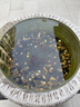 瘋狂水草（FKSC）4L魚(yú)缸水草泥和種子底沙魚(yú)缸造景水草泥套餐用品水草缸底砂水藻泥 曬單實(shí)拍圖