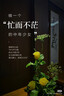 蘇菲超薄透氣0皮筋超熟睡安心褲L碼4條 安睡褲衛(wèi)生巾夜安褲自營 曬單實拍圖