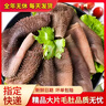 趕牛人大片毛肚新鮮 千層肚 黃牛百葉牛雜金錢肚 葉片 商用火鍋冒菜食材 精品毛肚1斤 新鮮日期（發(fā)順豐快遞） 曬單實(shí)拍圖