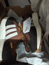 adidas RETROPY E5經(jīng)典舒適boost運動(dòng)鞋男女阿迪達斯官方三葉草 柔和棕/奇跡礬土棕   41 曬單實(shí)拍圖
