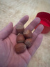 如水 大榛子260g/罐 紅火熟制堅(jiān)果仁 東北干果炒貨出游營(yíng)養(yǎng)休閑零食 曬單實(shí)拍圖