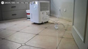 美的（Midea）除濕機/抽濕機 除濕量70升/天 5米向上排水正負離子凈化 倉庫地下室 工商業(yè)除濕器CF70BD/N8-DL1 曬單實拍圖