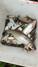 趣玲瓏環(huán)保軟芯快速鉛鉛皮卷釣魚墜配重快速鉛大物快速鉛皮卷垂釣 快速鉛1.0克[10枚] 曬單實拍圖