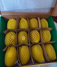 佳沛（zespri）新西蘭 陽光金奇異果12粒禮盒特大果單果約122-146g 獼猴桃 水果 曬單實拍圖