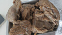 科爾沁 國(guó)產(chǎn)原切筋頭巴腦凈重4斤 燉煮食材 生鮮牛肉 曬單實(shí)拍圖
