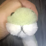 小蛇桌面擺件布娃娃玩偶擺件搞怪兒童女孩公仔布偶擺件 小青蛇毛絨玩偶【1個(gè)裝】 曬單實(shí)拍圖