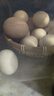 德青源PLUS聯(lián)名款A(yù)+級鮮雞蛋32枚2.74斤無抗生素 節(jié)日禮盒裝 曬單實拍圖